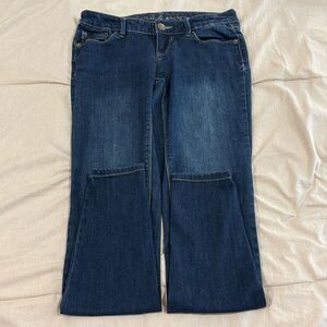 Express Skinny Jeans • Dark Wash • Size 2 • Stretch Denim